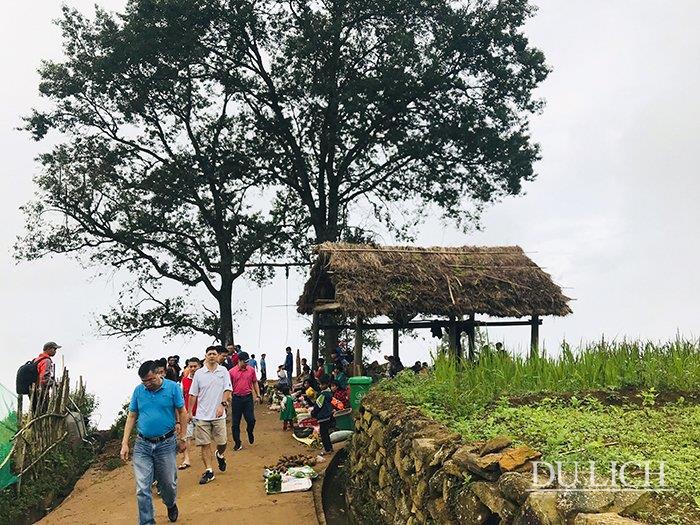 Hai gốc cây cổ thụ là điểm "nhất định phải đến" của du khách khi ghé Choản Thẻn (ảnh Việt Hùng - tháng 3/2019)